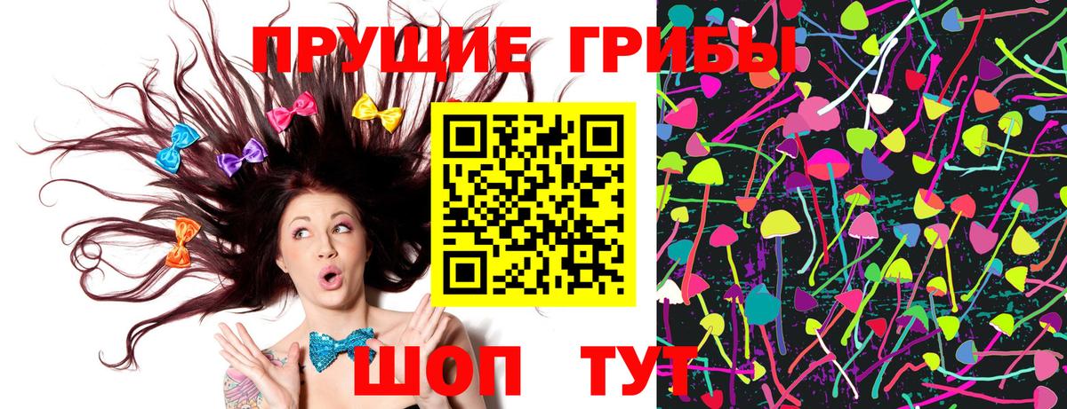 Псилоцибиновые грибы прущие грибы Алексеевка