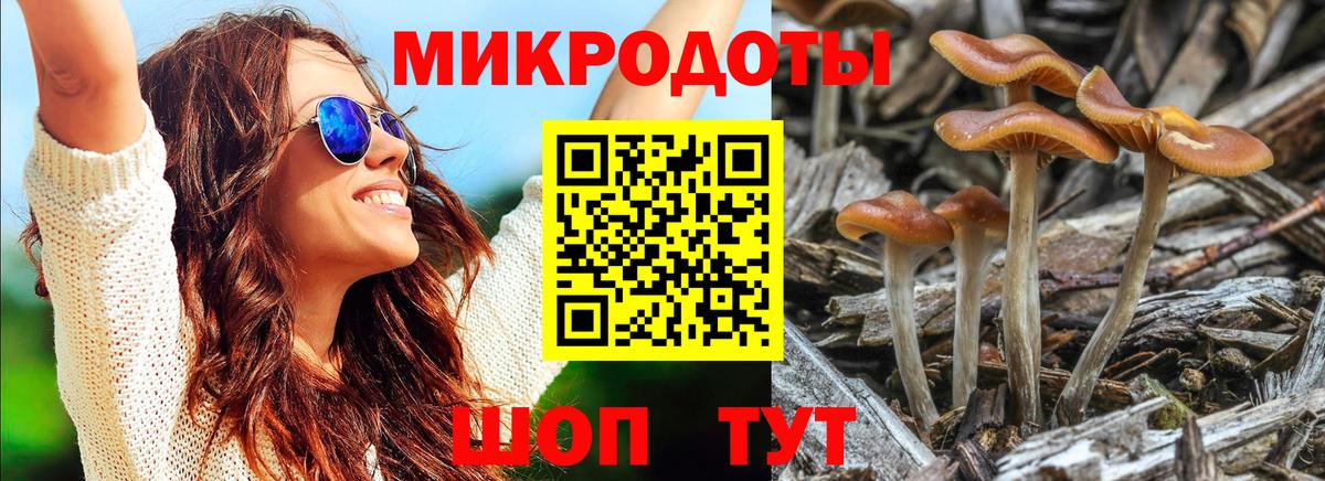 Алексеевка  Псилоцибиновые грибы Cubensis  Вход с VPN 